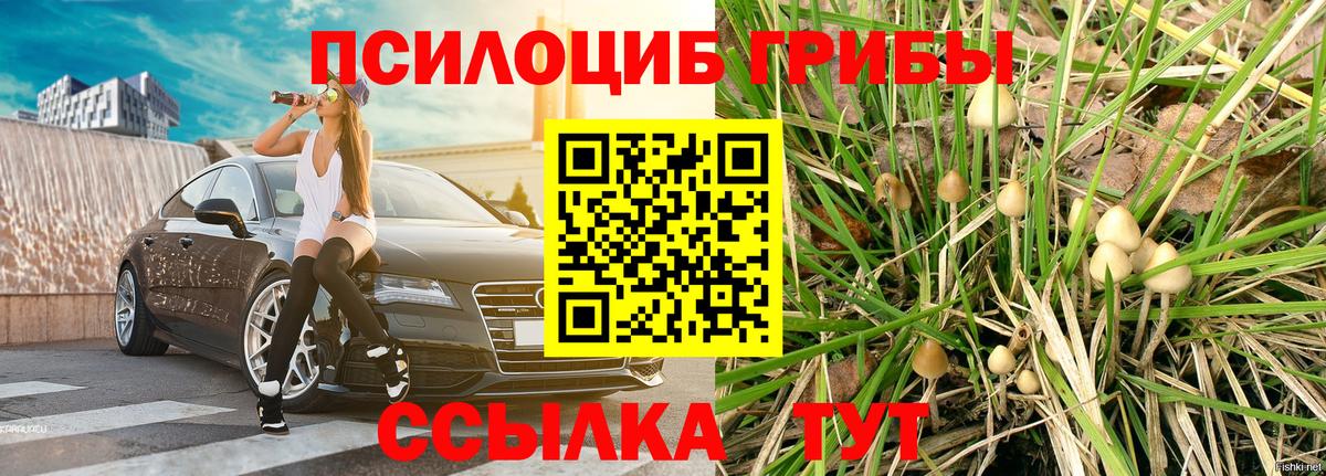 Галлюциногенные грибы GOLDEN TEACHER Чехов