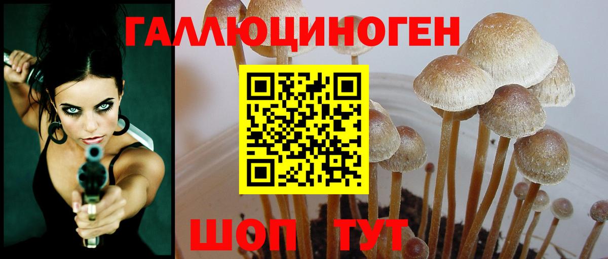 Галлюциногенные грибы Cubensis  Вход с VPN  Галлюциногенные грибы Cubensis  Чехов 