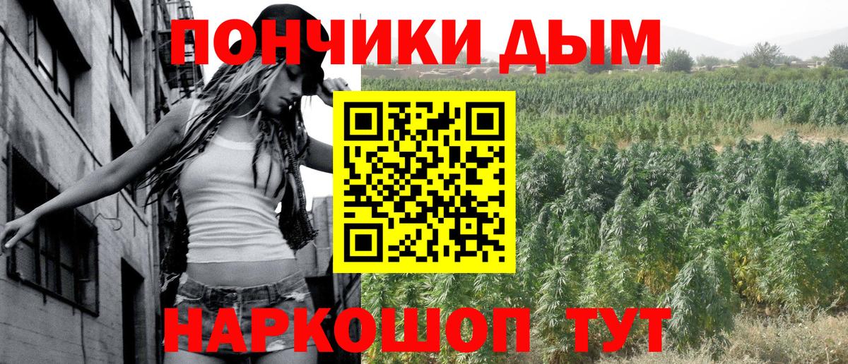 Канабис гибрид Чехов